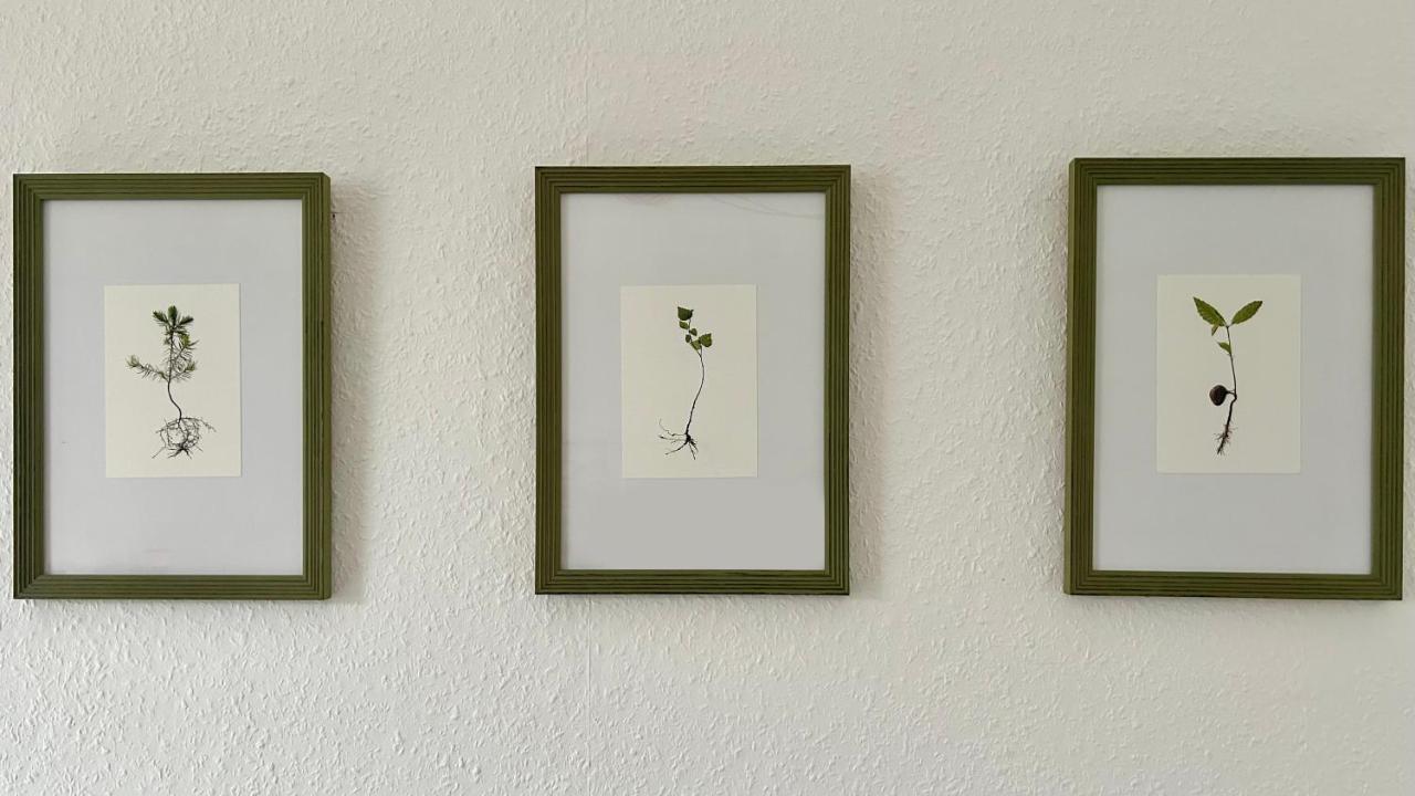 Gemuetliches * Gelsenkirchen